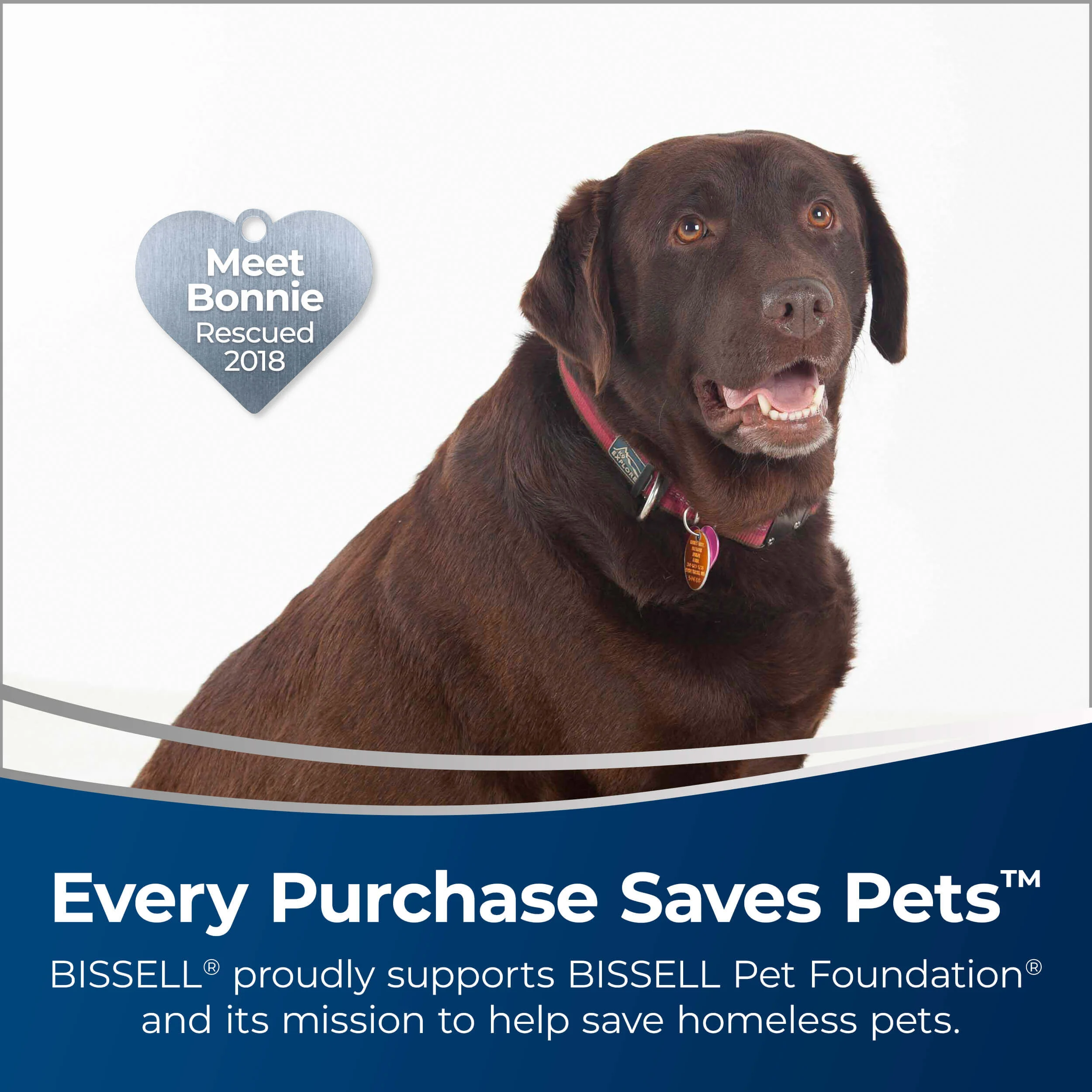 BISSELL SpinWave® Wet and Dry Robotic Vacuum